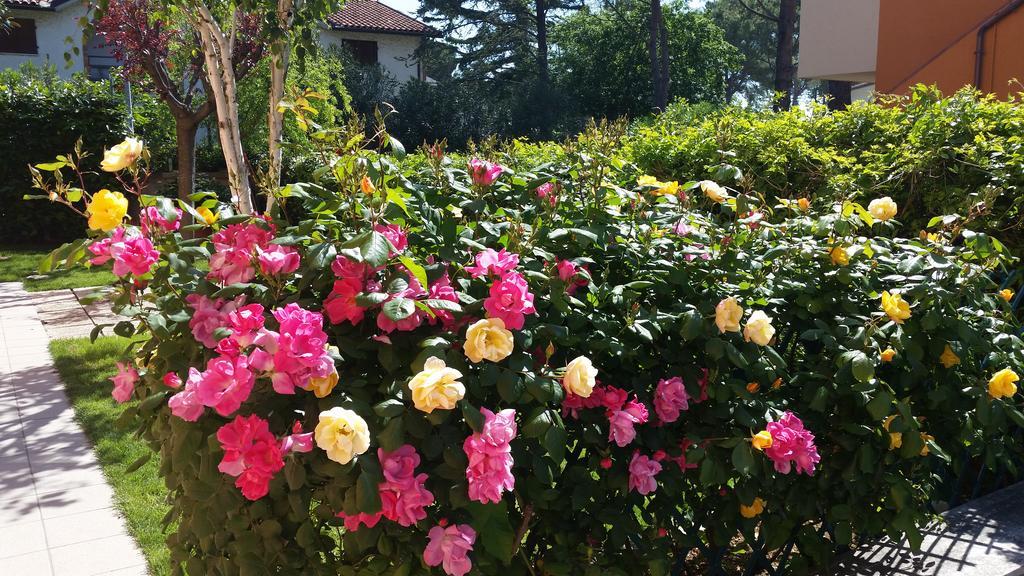 A Due Passi Dal Mare B&B Numana Exterior photo